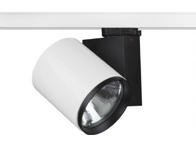 RAYLI SPOTLAR / DIMSA